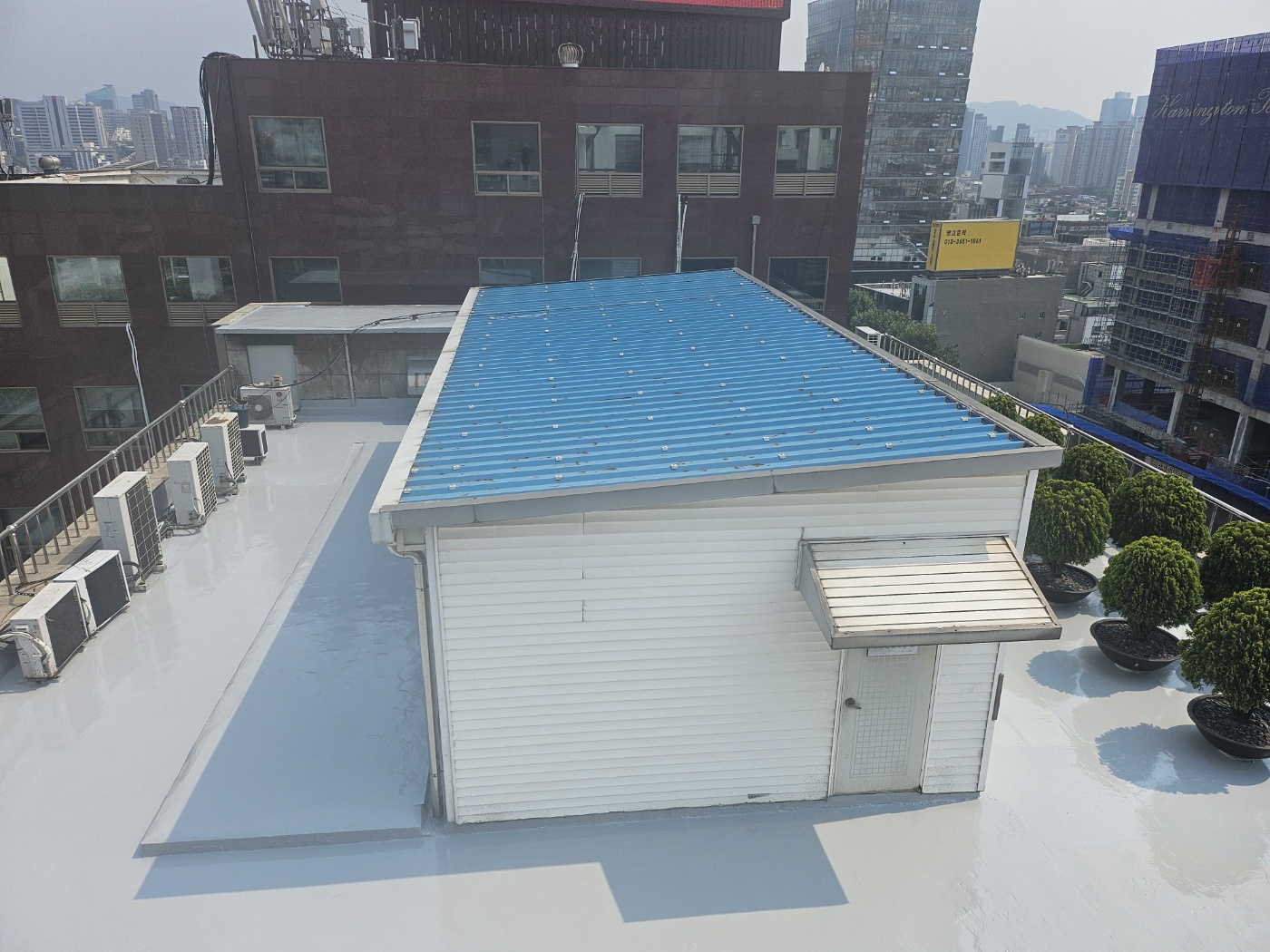 KakaoTalk_20250611_180846738_01.jpg