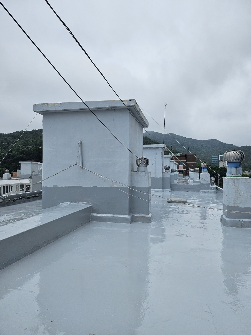 KakaoTalk_20250611_180558981_03.jpg